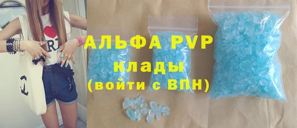 шишки Аркадак