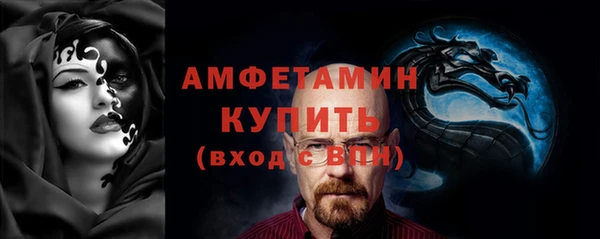 шишки Аркадак