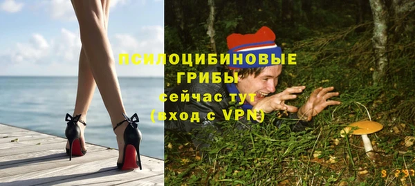 spice Армянск