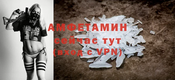 шишки Аркадак