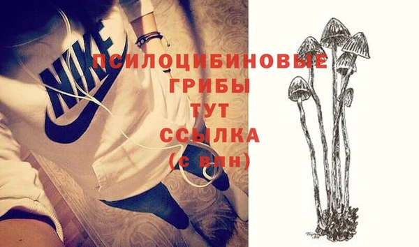 шишки Аркадак