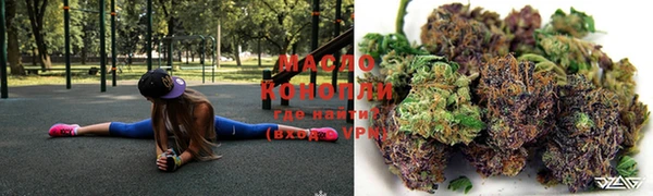 шишки Аркадак