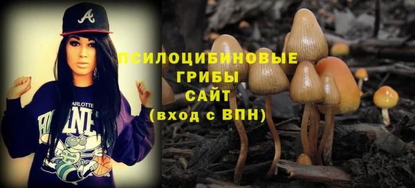 шишки Аркадак